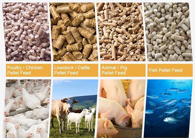 feed pellets line6