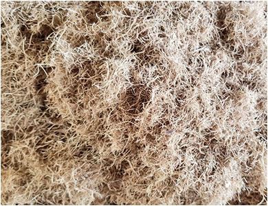 EFB fiber