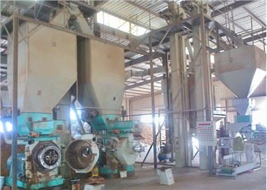 2-3T / H ביומסה ביצוע גלולה מכונה