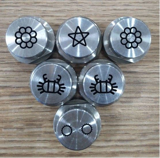 Stainless Steel Twin Screw Extruder Machine